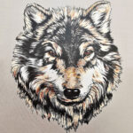 Θερμομεταφερόμενες Στάμπες Πλάστισολ