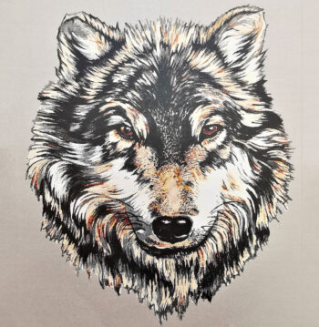 Θερμομεταφερόμενες Στάμπες Πλάστισολ